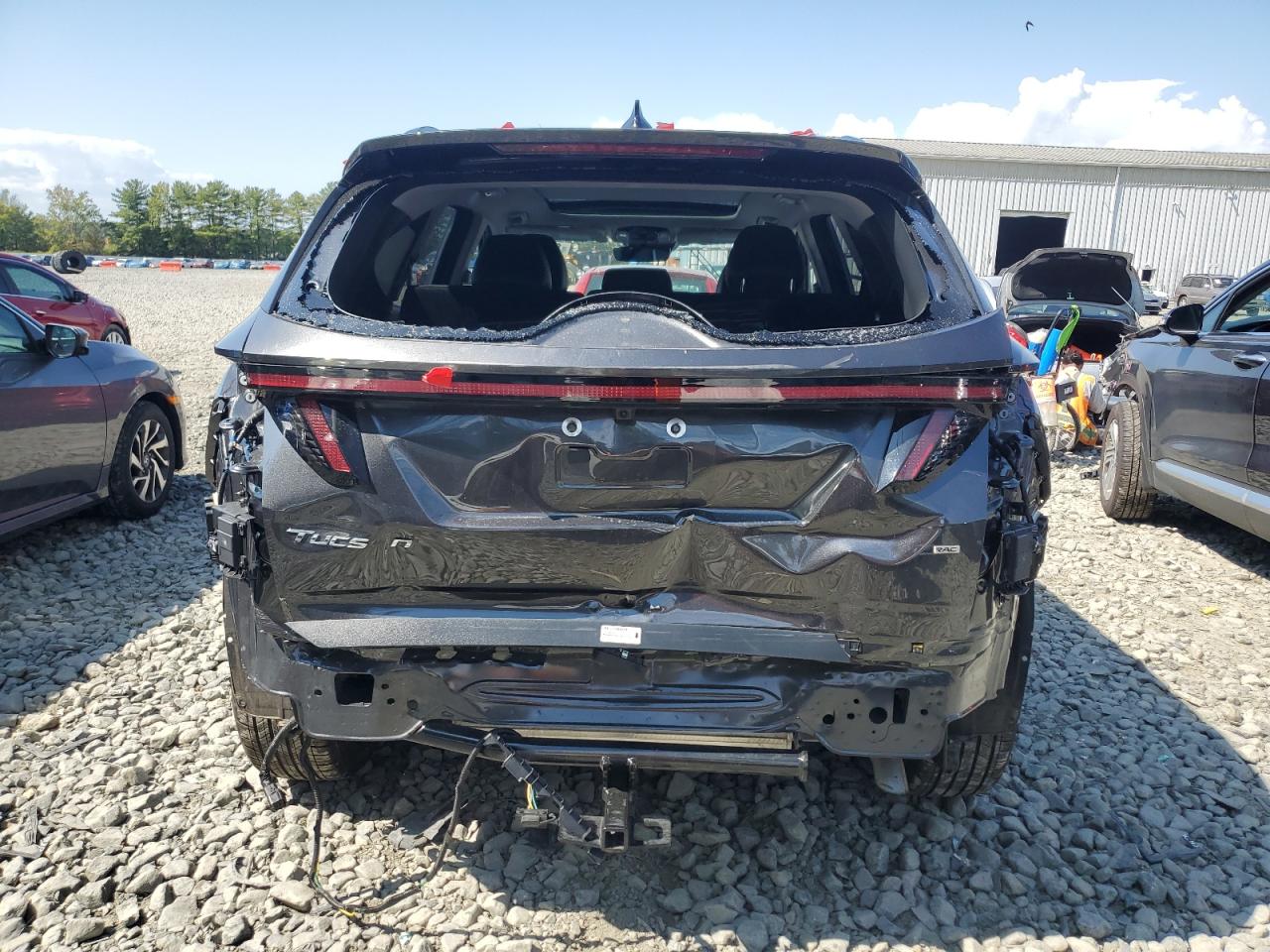 2024 Hyundai Tucson Limited VIN: 5NMJECDEXRH344316 Lot: 80693895