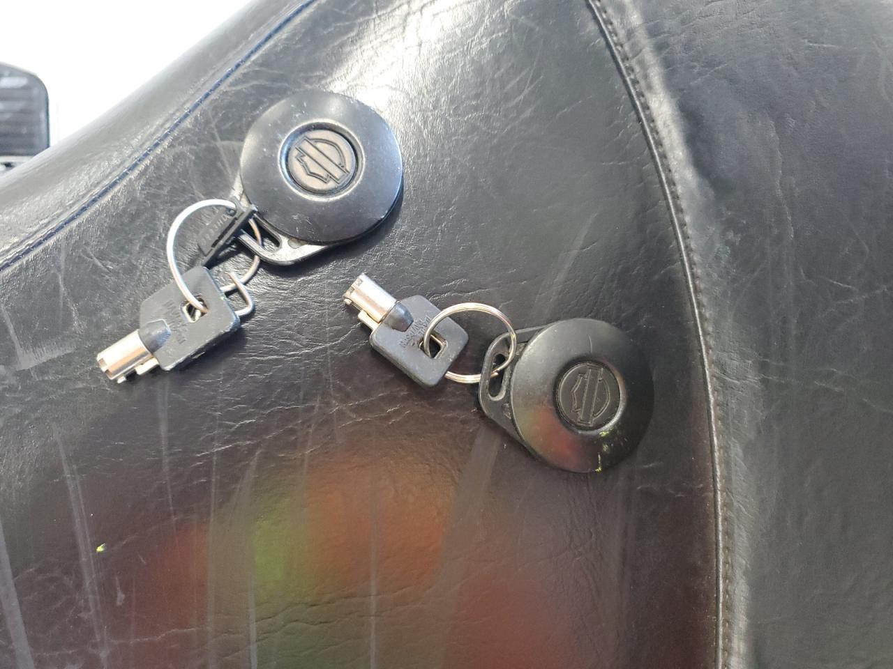 2005 Harley-Davidson Flstc VIN: 1HD1BJY1X5Y029501 Lot: 71487915