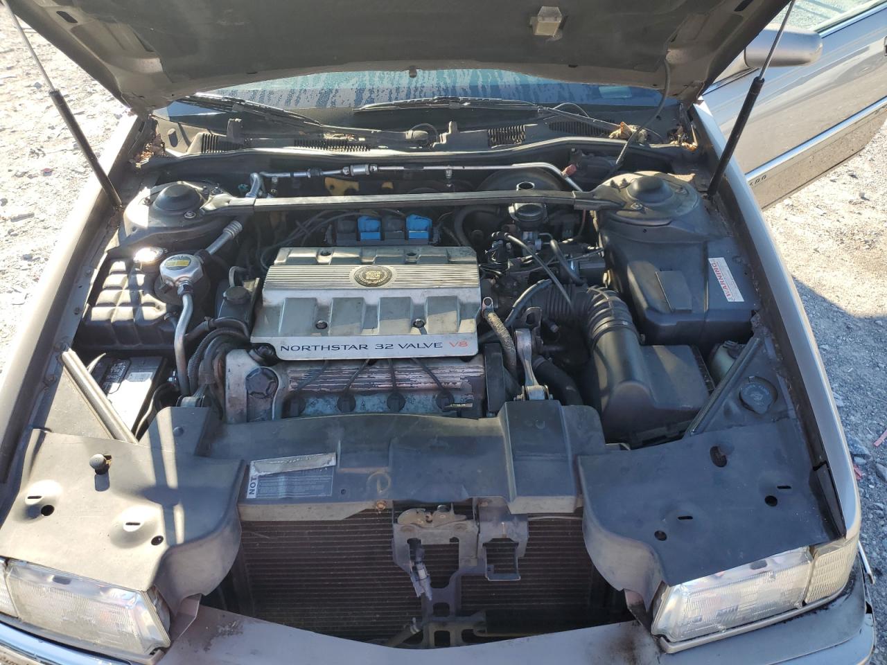 1995 Cadillac Eldorado VIN: 1G6EL12Y8SU623788 Lot: 81858815