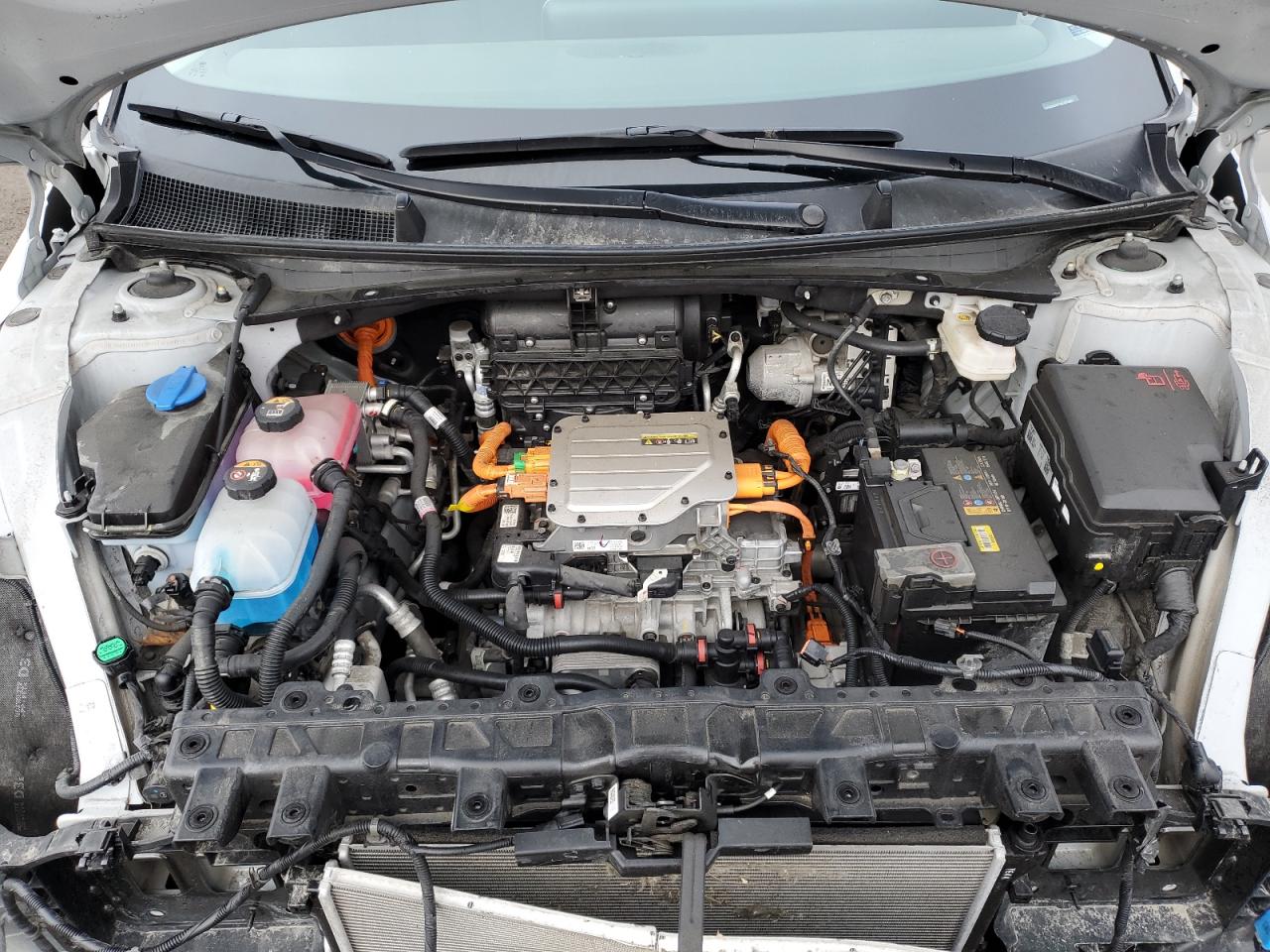 2024 Hyundai Ioniq 5 Sel VIN: KM8KNDDF7RU323480 Lot: 83853955