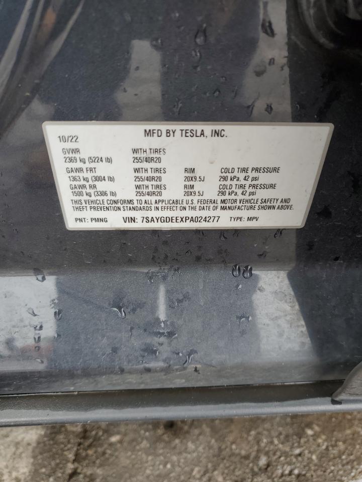 2023 Tesla Model Y VIN: 7SAYGDEEXPA024277 Lot: 81400865