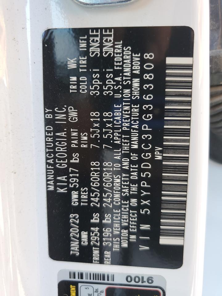 2023 Kia Telluride Sx VIN: 5XYP5DGC3PG363808 Lot: 71433525