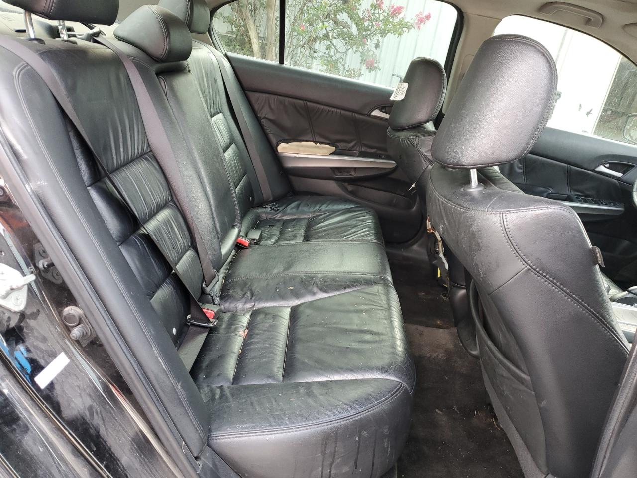 2009 Honda Accord Exl VIN: 1HGCP36889A018553 Lot: 83960105