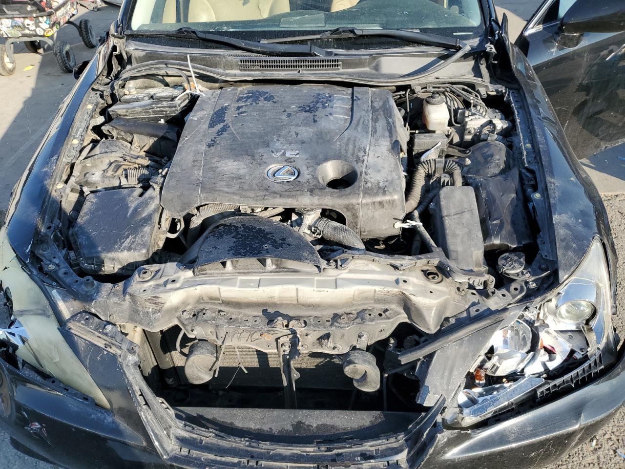 2007 Lexus Is 250 VIN: JTHBK262375038499 Lot: 81053095