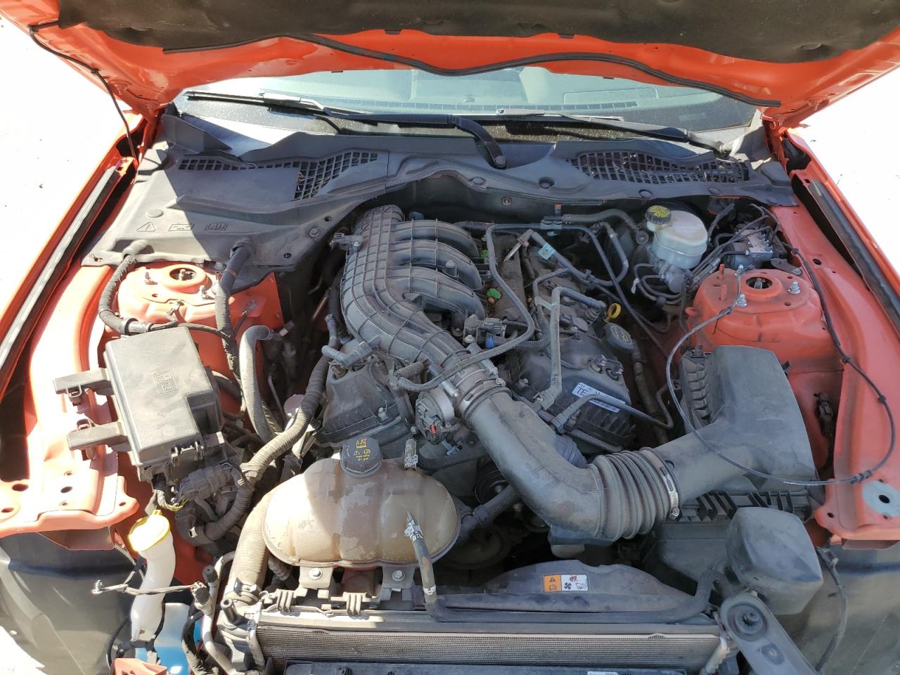 2016 Ford Mustang VIN: 1FA6P8AM5G5211705 Lot: 81106835