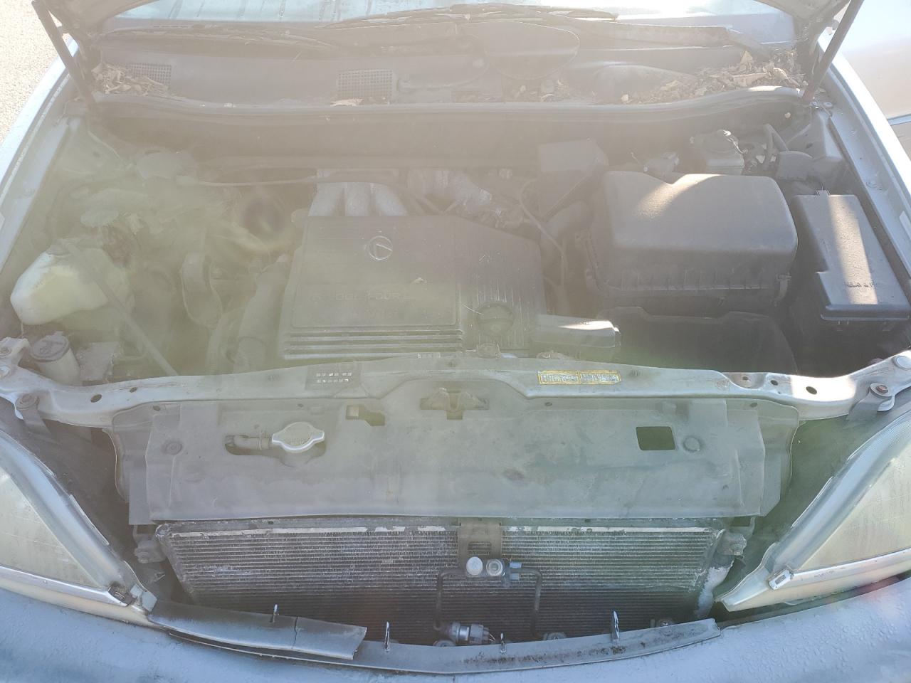 2000 Lexus Rx 300 VIN: JT6HF10U6Y0115179 Lot: 81425265