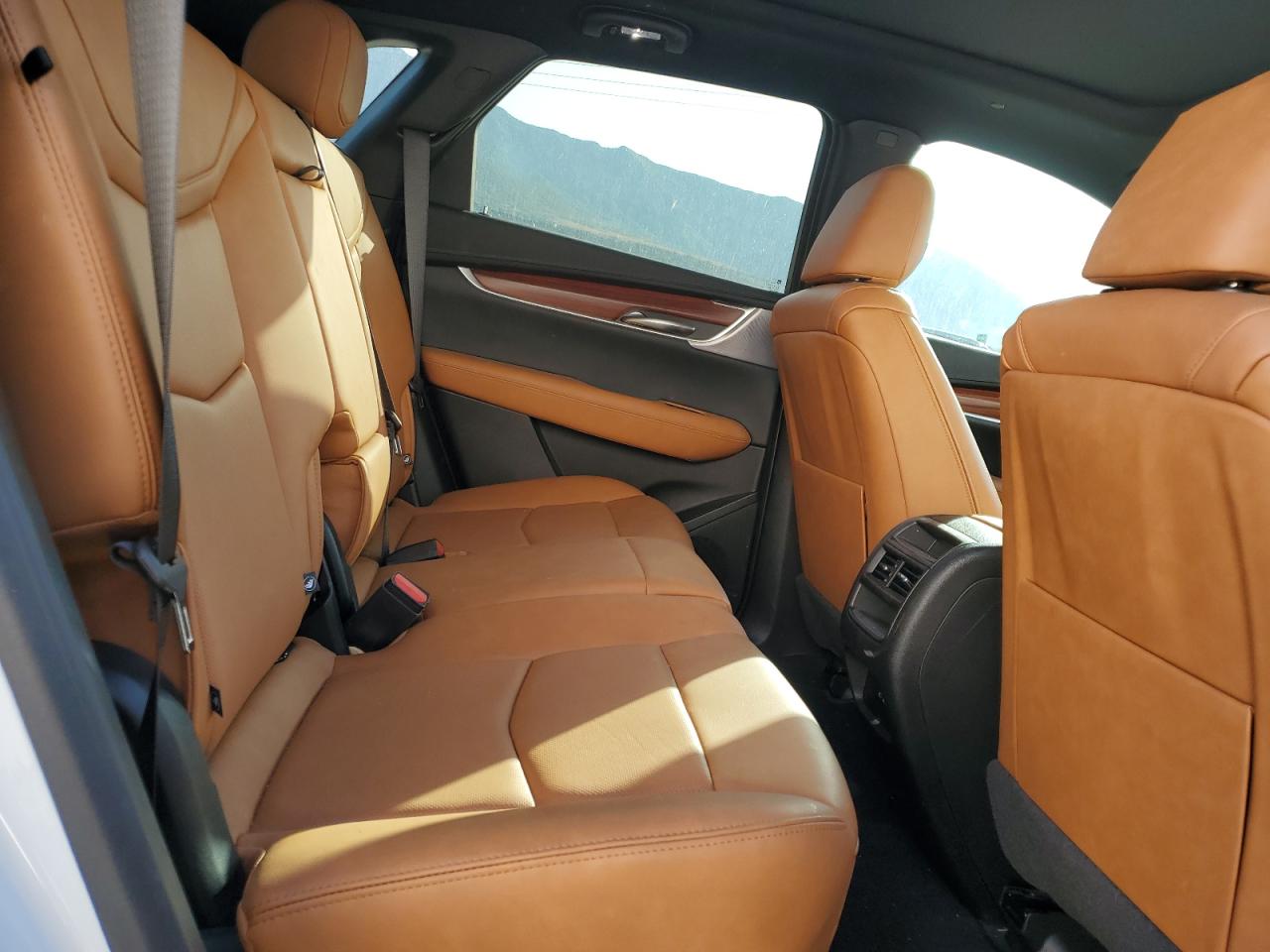 2024 Cadillac Xt5 Premium Luxury VIN: 1GYKNDRS0RZ731777 Lot: 71269965