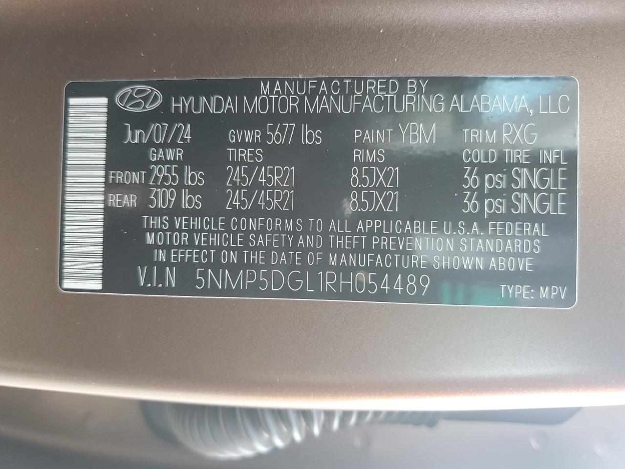 2024 Hyundai Santa Fe Calligraphy VIN: 5NMP5DGL1RH054489 Lot: 81032475