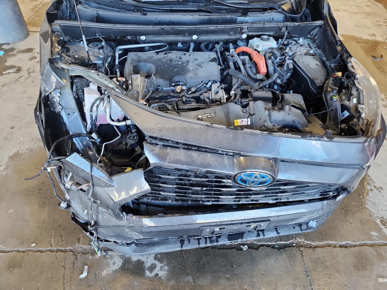 2021 Toyota Rav4 Xle VIN: 2T3RWRFV6MW120576 Lot: 71596465