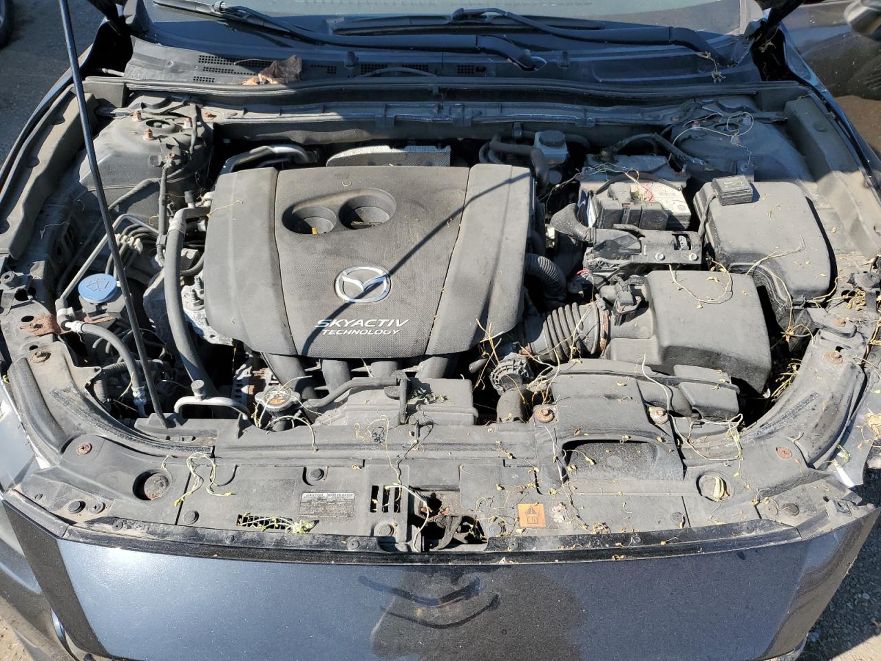 2017 Mazda 3 Touring VIN: JM1BN1V77H1152806 Lot: 80339295