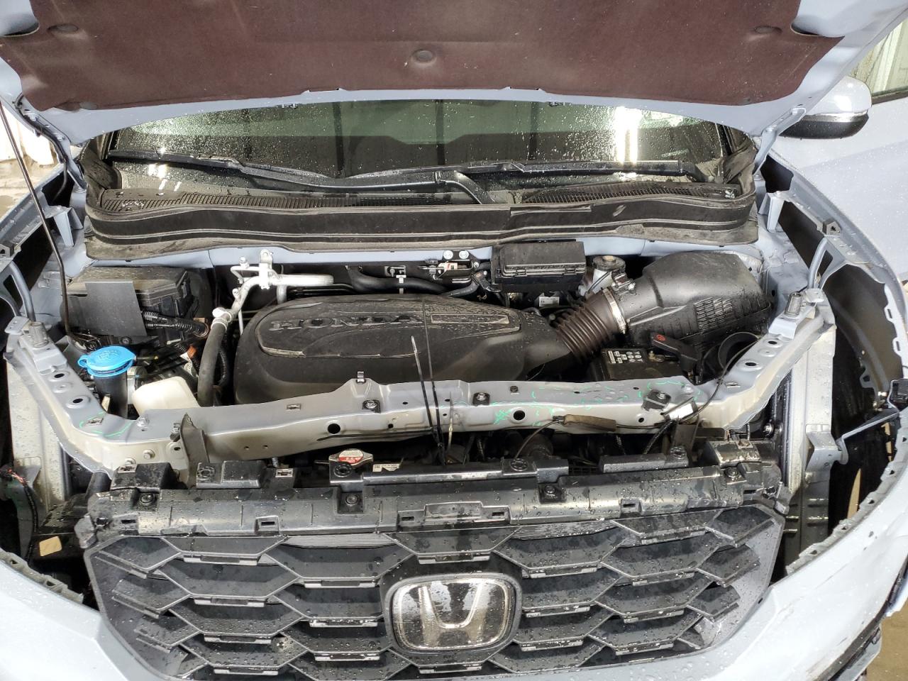 2024 Honda Passport Exl VIN: 5FNYF8H53RB017793 Lot: 80613995