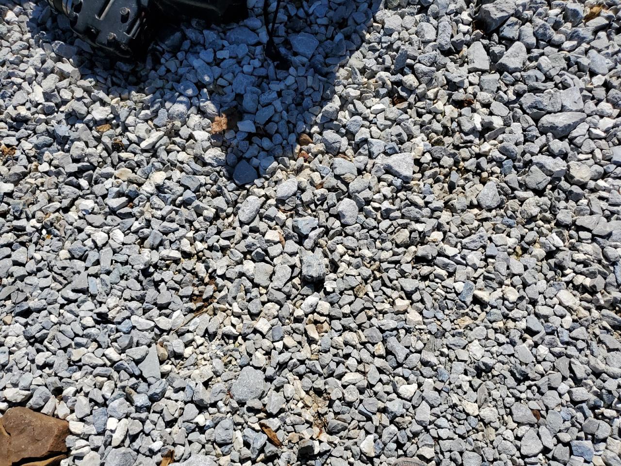 1998 Mercury Mercruiser 210Hp VIN: 0F795983 Lot: 81295435