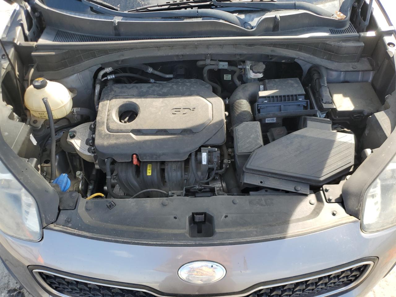 2019 Kia Sportage Lx VIN: KNDPM3AC6K7529931 Lot: 81478575