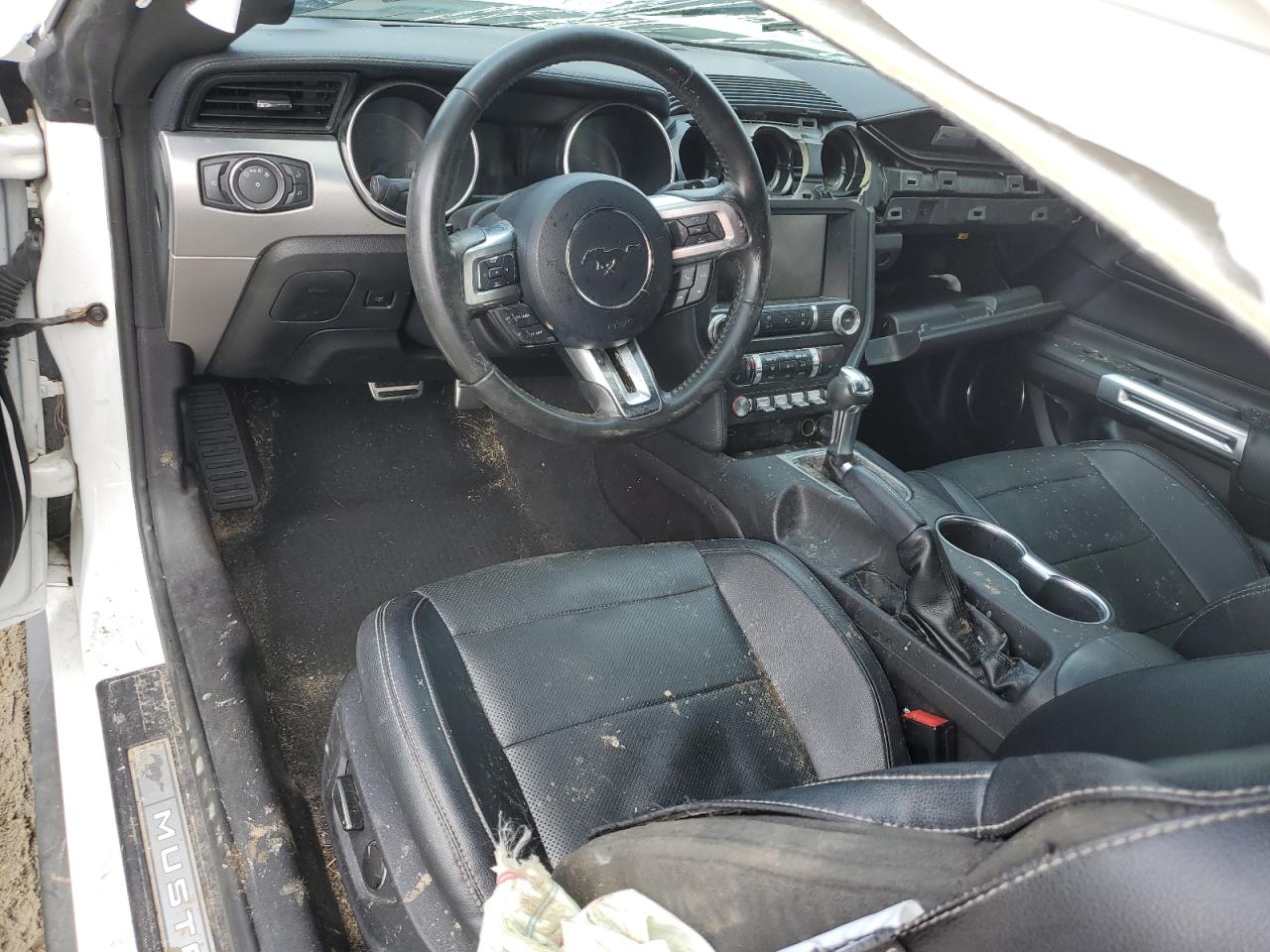 2019 Ford Mustang VIN: 1FA6P8TH2K5186464 Lot: 80819665