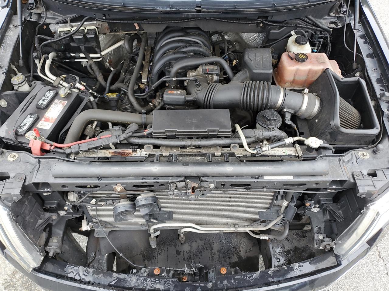 2010 Ford F150 Supercrew VIN: 1FTEW1E89AFC53521 Lot: 80099605