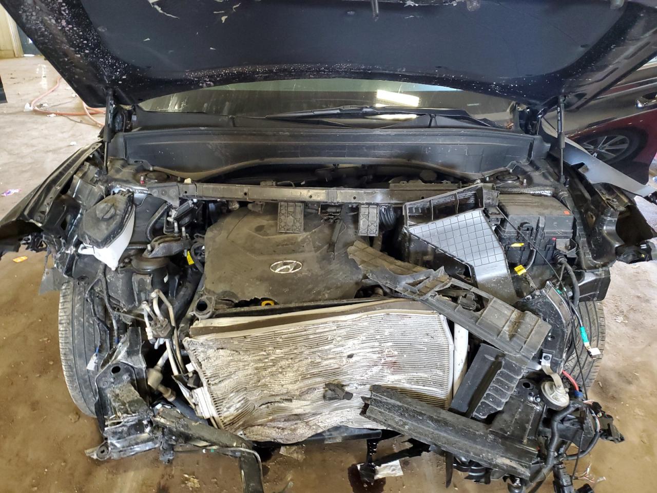 2024 Hyundai Palisade Xrt VIN: KM8R3DGE1RU683397 Lot: 71629215