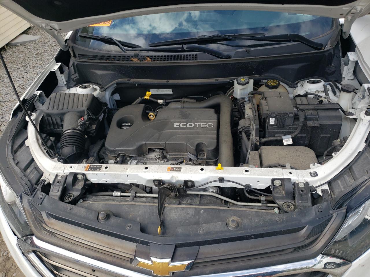 2019 Chevrolet Equinox Lt VIN: 2GNAXUEV1K6123044 Lot: 81789695