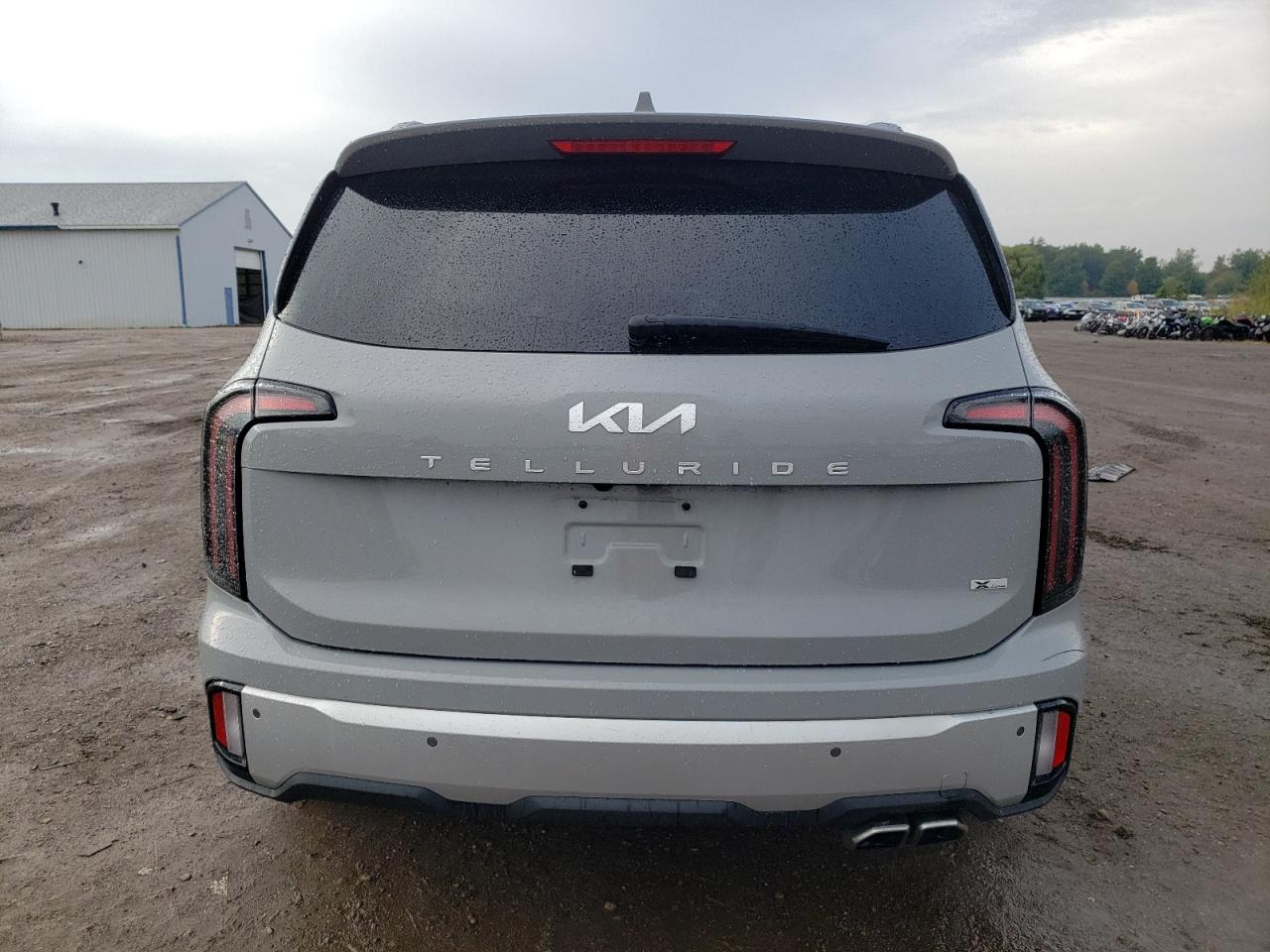 2023 Kia Telluride Ex VIN: 5XYP3DGC0PG401582 Lot: 83871985