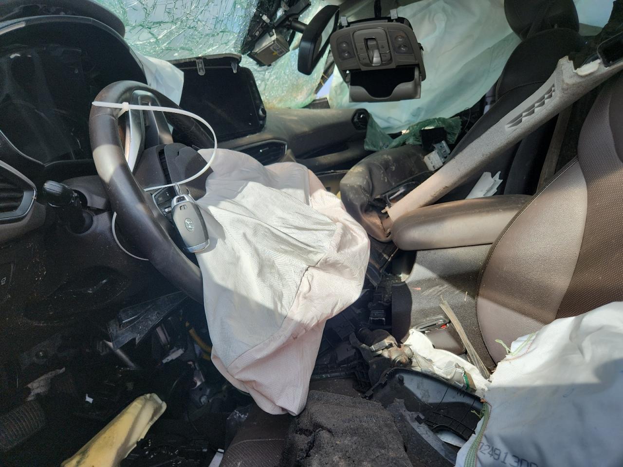 2019 Hyundai Santa Fe Limited VIN: 5NMS5CAA0KH055229 Lot: 71199305