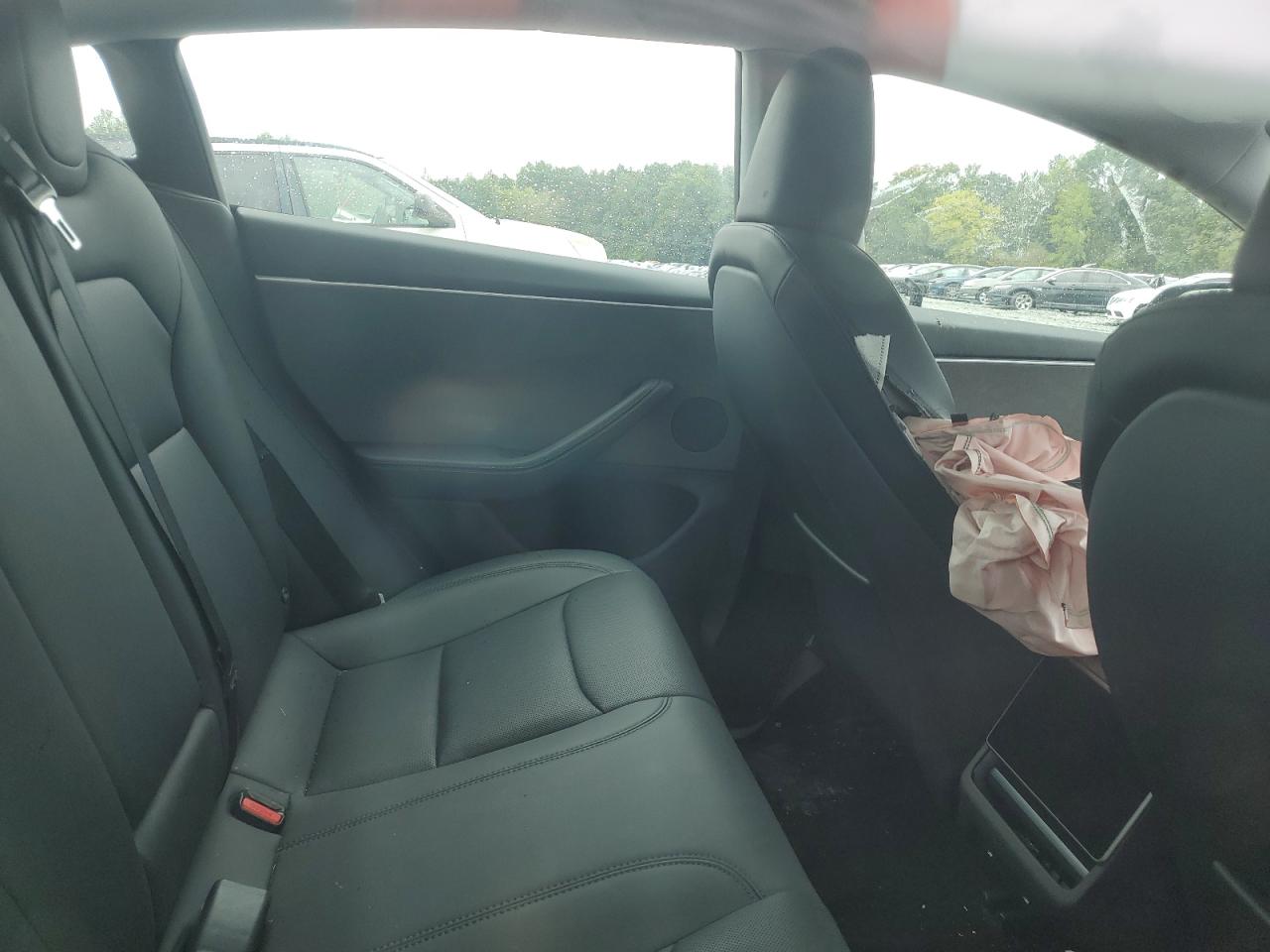 2024 Tesla Model 3 VIN: 5YJ3E1EA4RF769573 Lot: 81865805