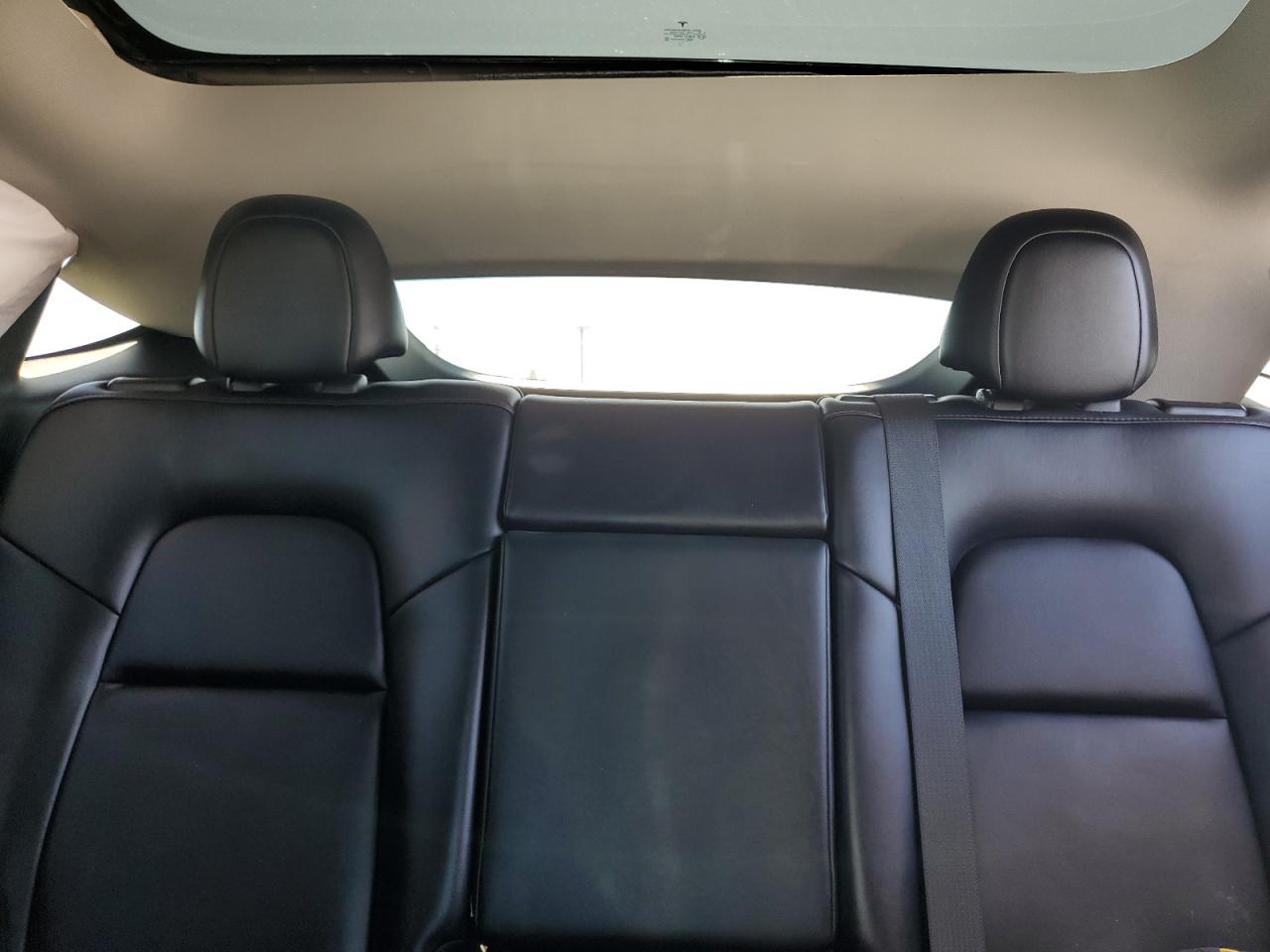 2022 Tesla Model Y VIN: 7SAYGDEE7NF352529 Lot: 81513465