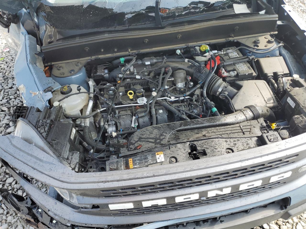 2024 Ford Bronco Sport Badlands VIN: 3FMCR9D91RRE35781 Lot: 81497275