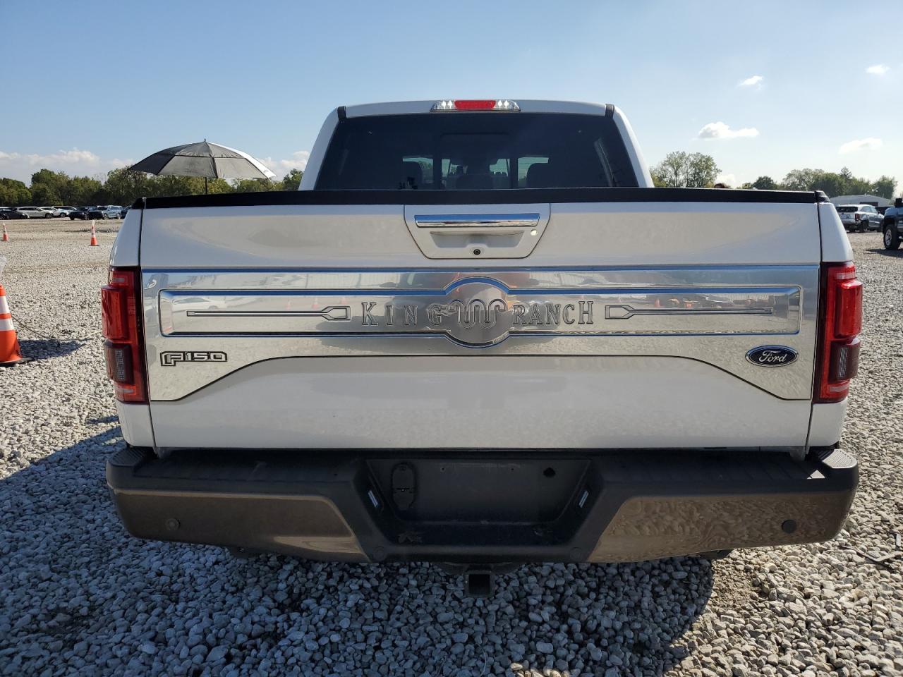 2016 Ford F150 Supercrew VIN: 1FTEW1EG8GFB24539 Lot: 81800185