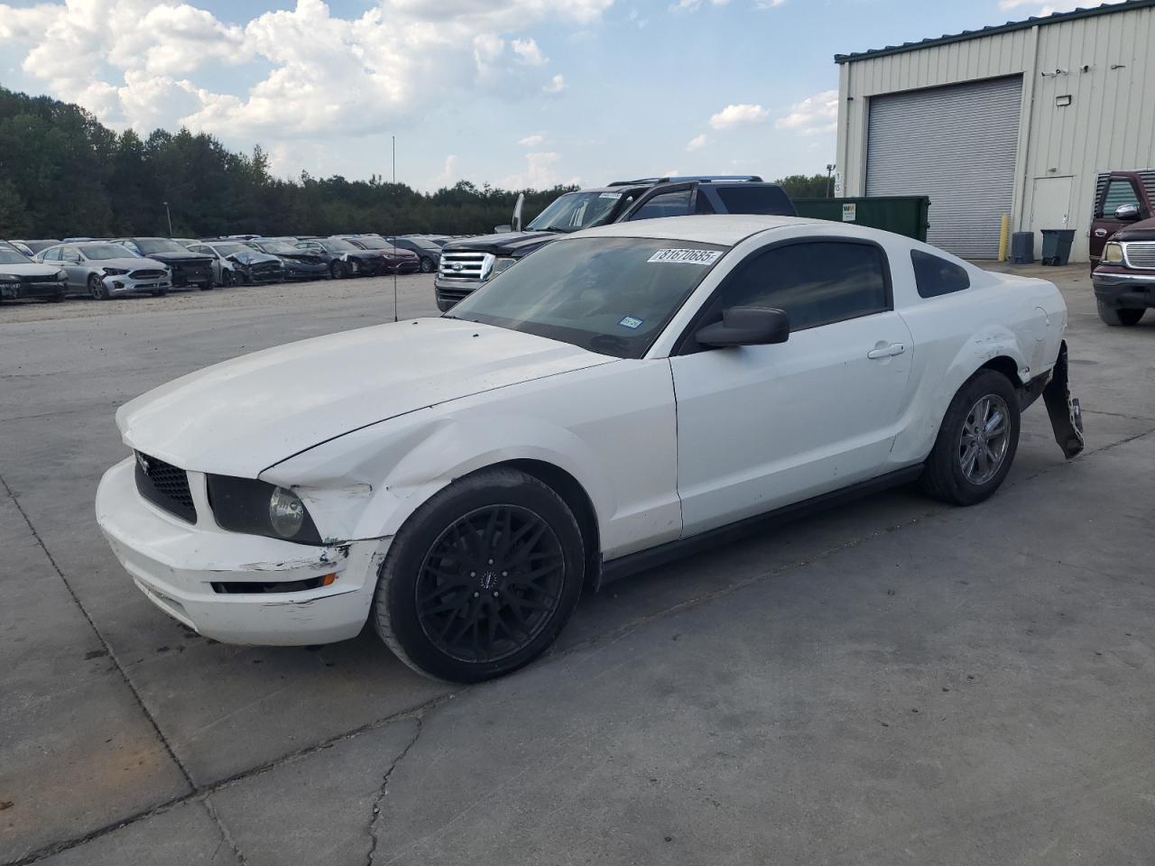 2008 Ford Mustang VIN: 1ZVHT80N785140031 Lot: 81670685