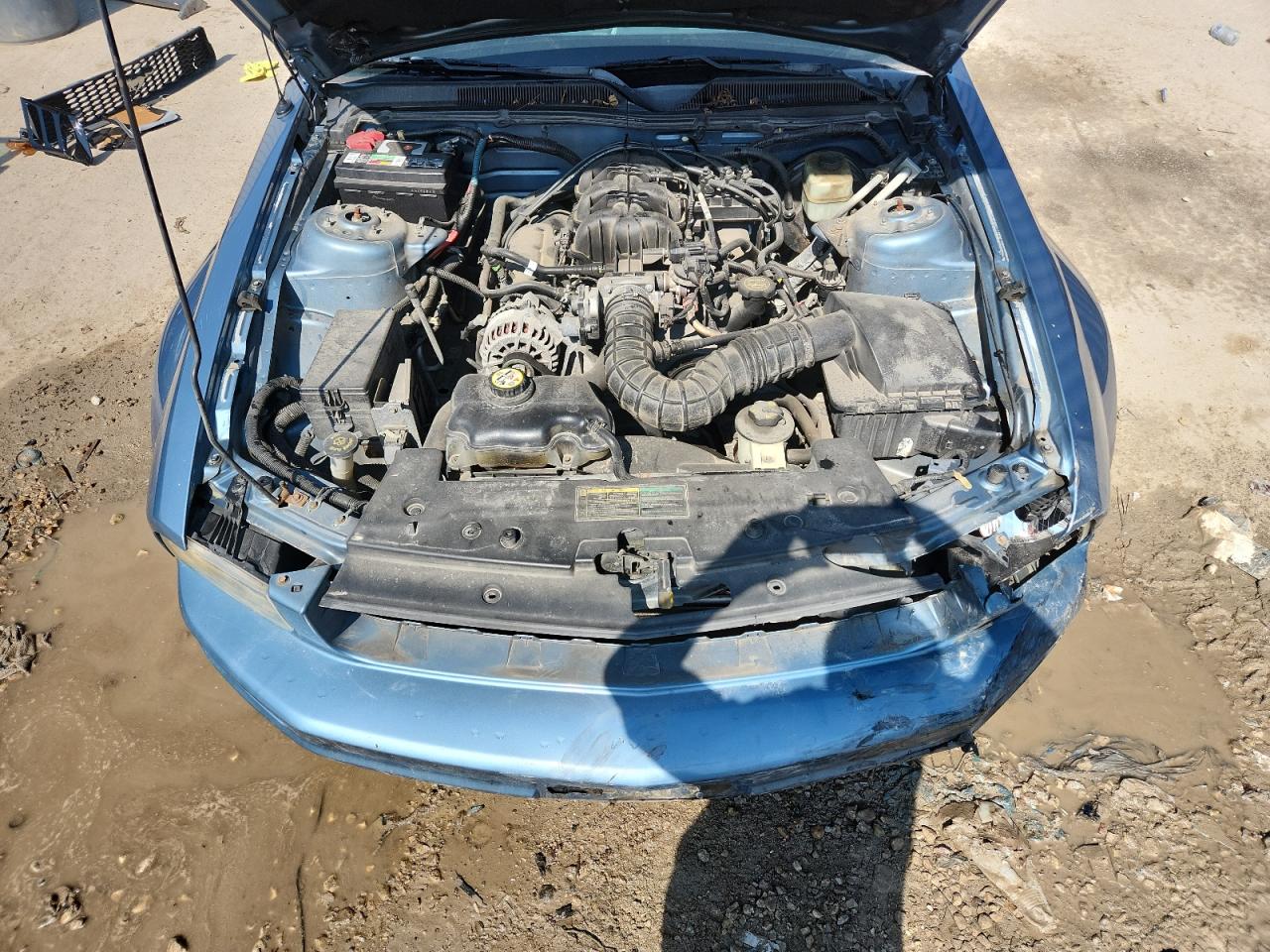 2006 Ford Mustang VIN: 1ZVFT80N965115068 Lot: 80790155