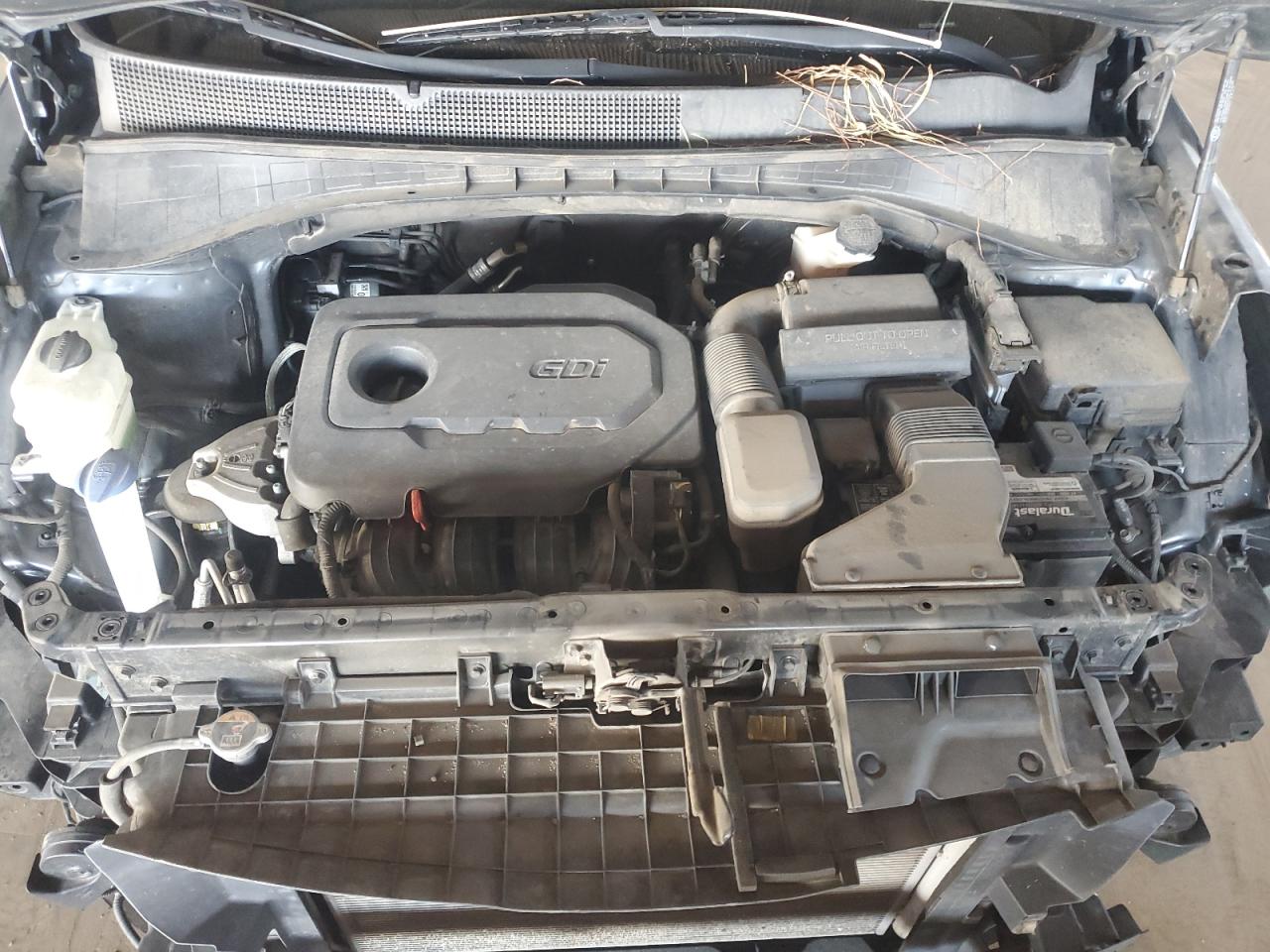 2020 Kia Sorento L VIN: 5XYPG4A37LG626332 Lot: 81133715