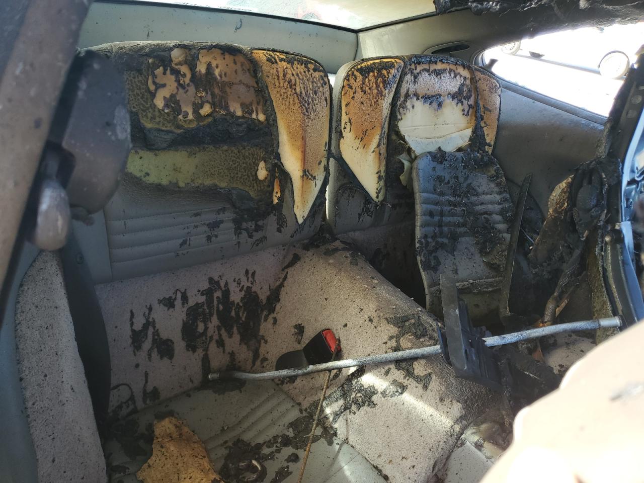 2004 Porsche 911 Carrera 2 VIN: WP0AA29974S622555 Lot: 81829995