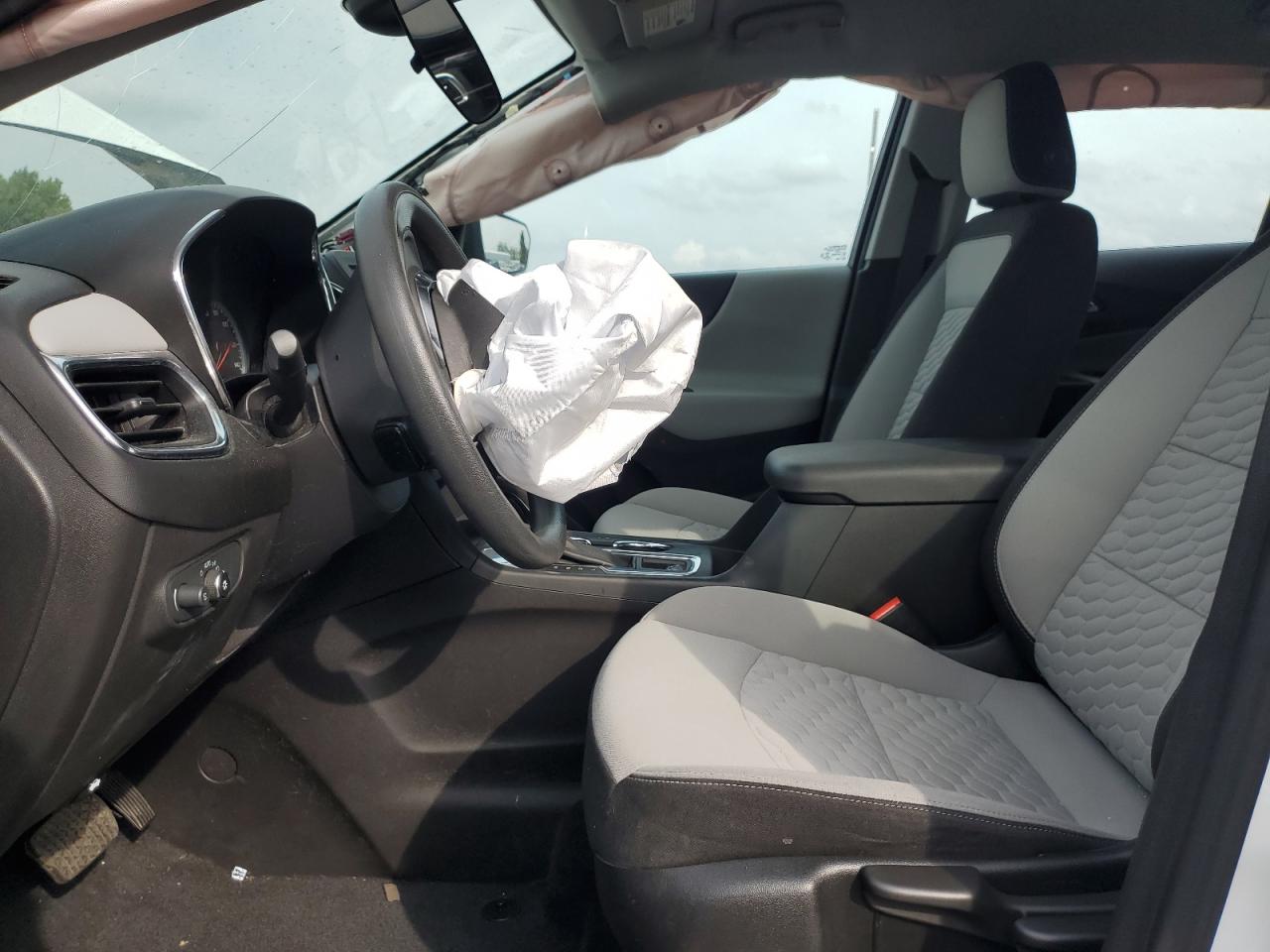 2020 Chevrolet Equinox Ls VIN: 3GNAXHEV2LS654859 Lot: 81690895