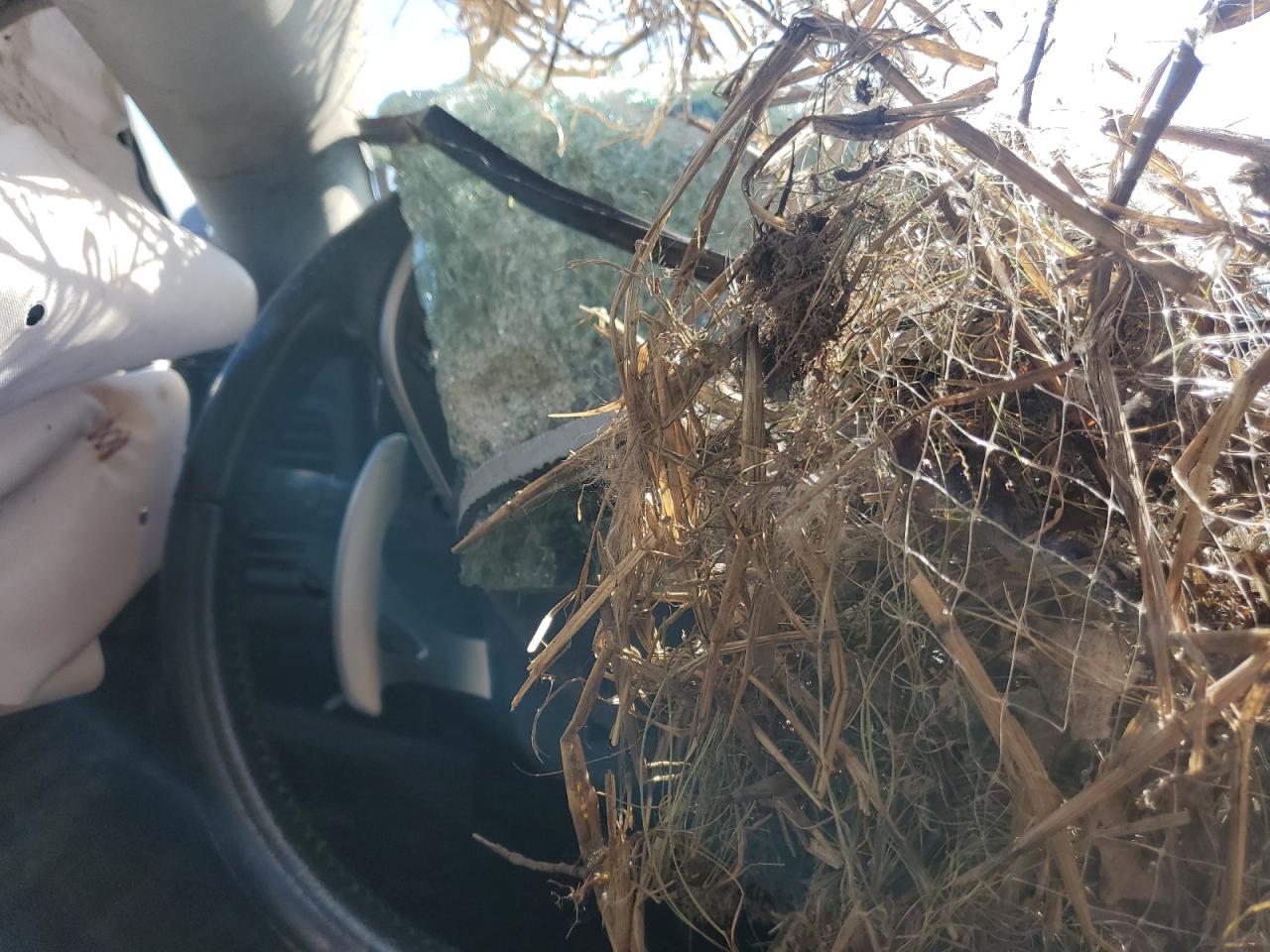 2014 Mitsubishi Outlander Sport Se VIN: 4A4AP4AU8EE025479 Lot: 81733755