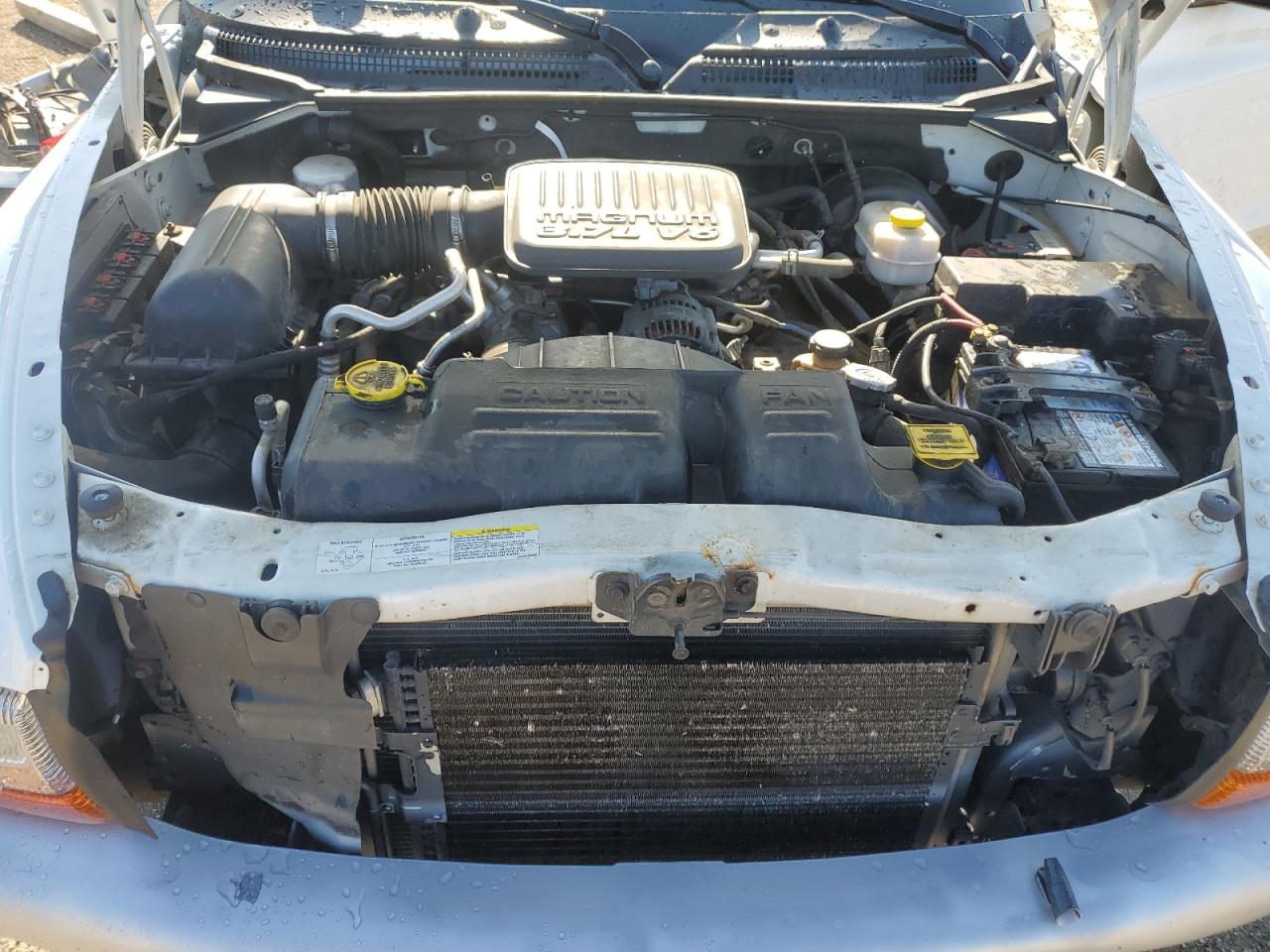 2004 Dodge Dakota Slt VIN: 1D7GL42KX4S618180 Lot: 80401935