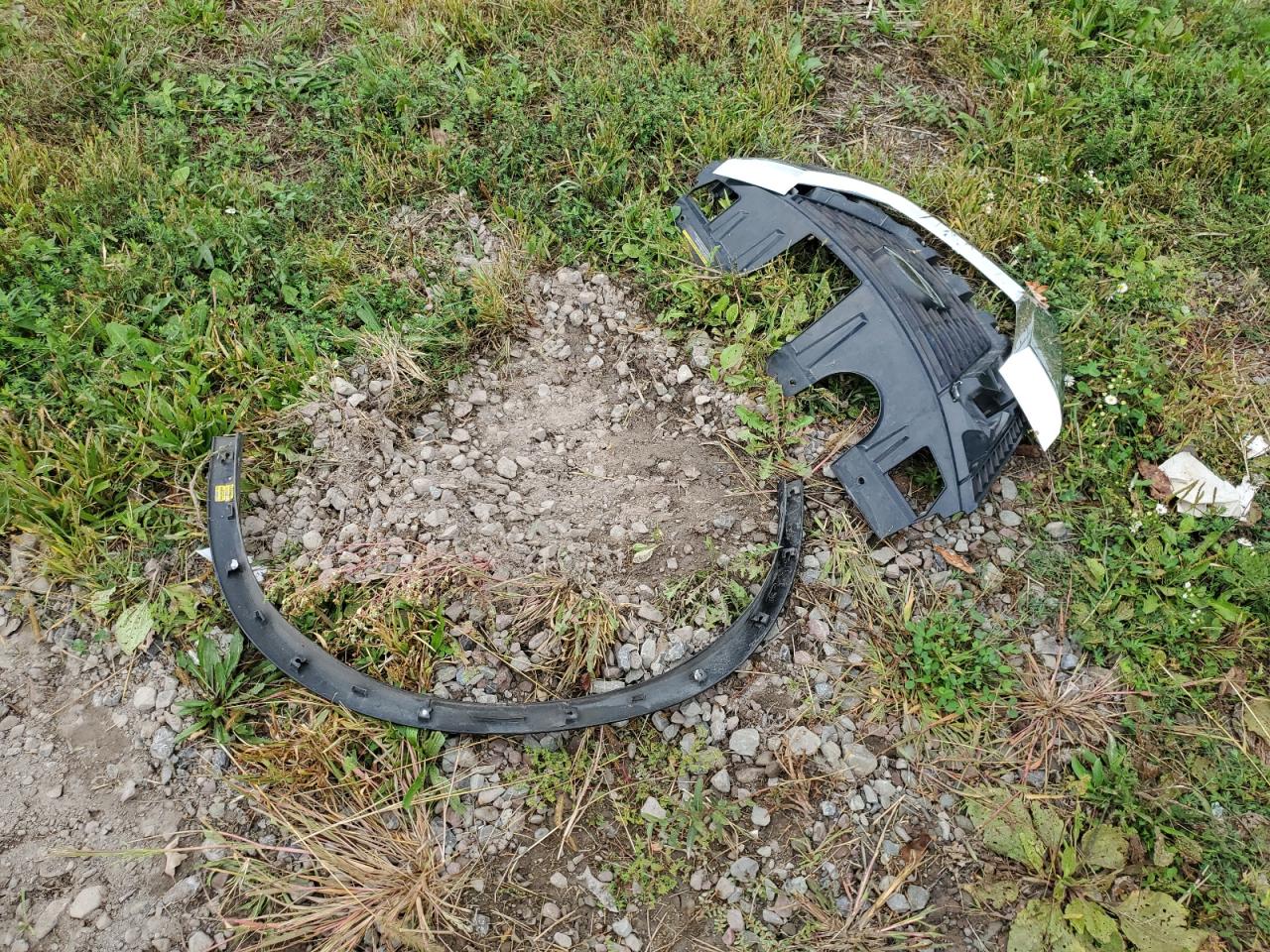 2019 Nissan Rogue S VIN: JN8AT2MV4KW373219 Lot: 82079015