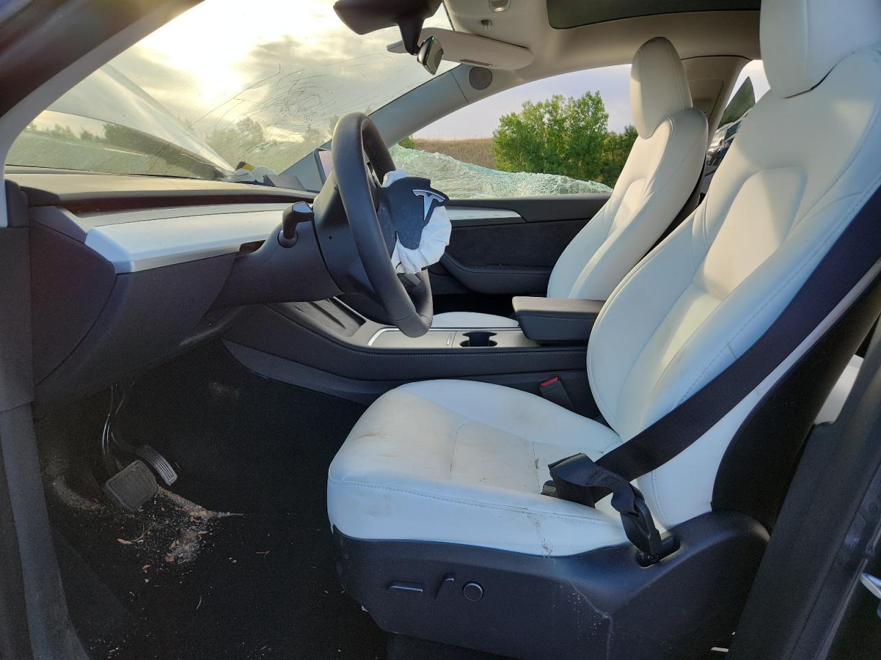 2023 Tesla Model Y VIN: 7SAYGDEE3PF714262 Lot: 71861085