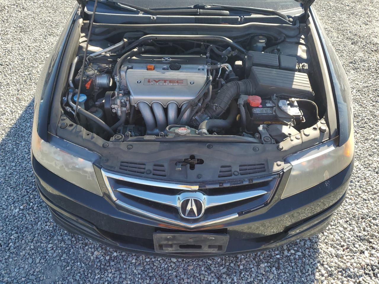 2006 Acura Tsx VIN: JH4CL96926C033635 Lot: 80352165