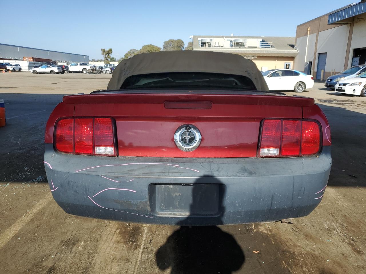 2008 Ford Mustang VIN: 1ZVHT84N085136235 Lot: 81880705