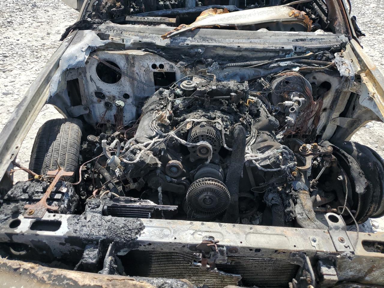 1996 Mercury Grand Marquis Gs VIN: 2MELM74W3TX616031 Lot: 81646205