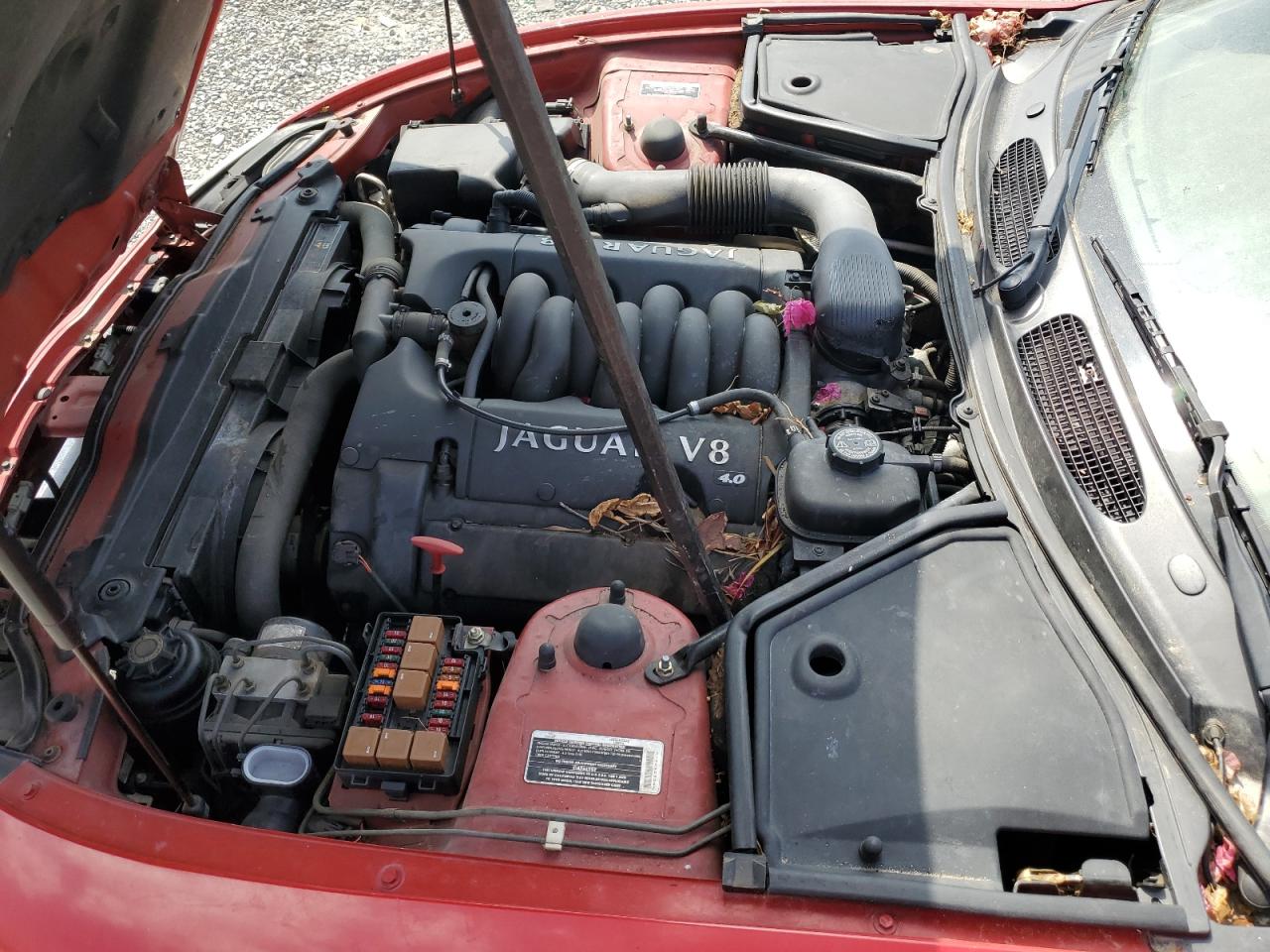 1999 Jaguar Xk8 VIN: SAJGX2044XC038236 Lot: 81923635