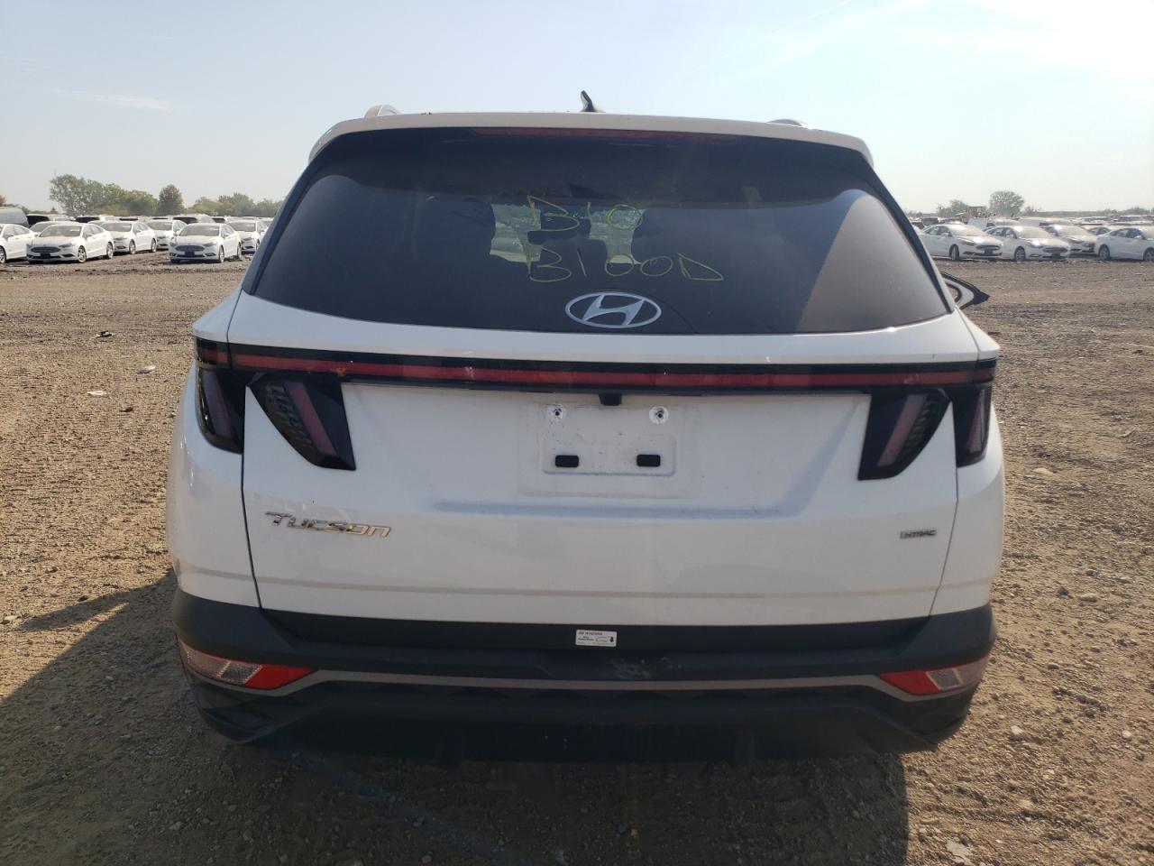 2024 Hyundai Tucson Sel VIN: 5NMJFCDE5RH401454 Lot: 81619005