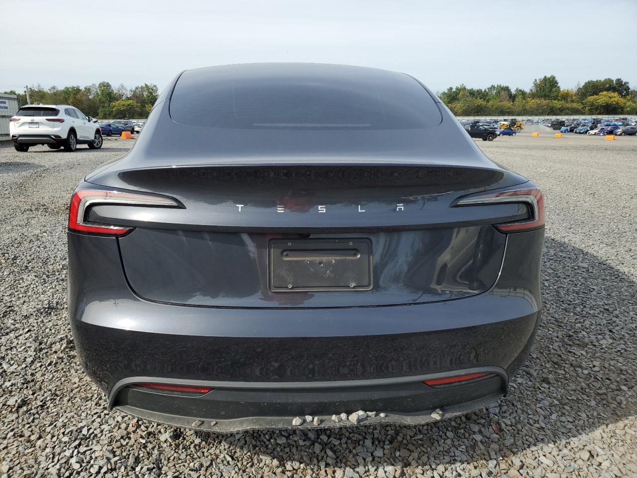 2025 Tesla Model 3 VIN: 5YJ3E1EA4SF969522 Lot: 84695665