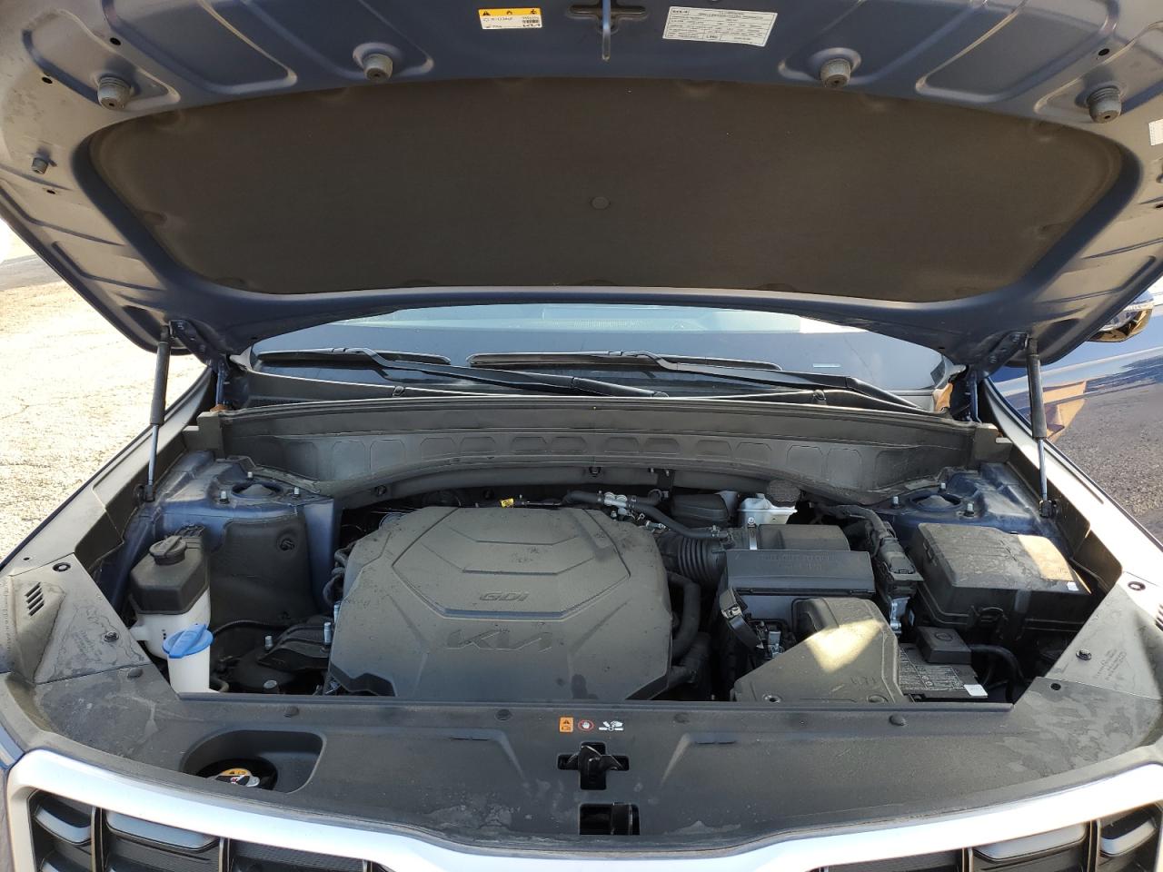 2023 Kia Telluride Sx VIN: 5XYP54GC1PG357165 Lot: 80310905