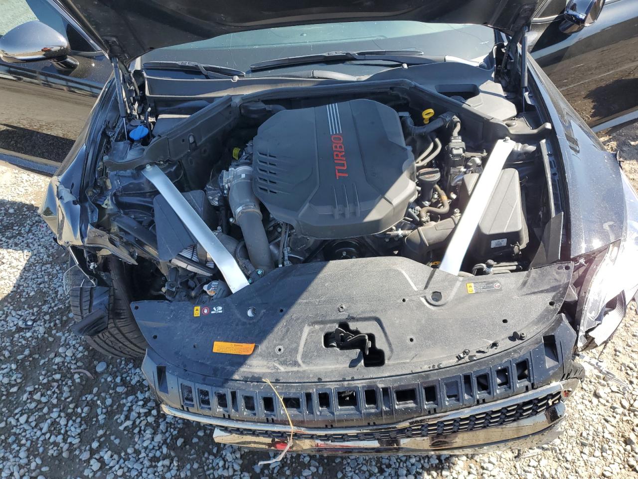 2021 Kia Stinger Gt VIN: KNAE35LC8M6097951 Lot: 71462755