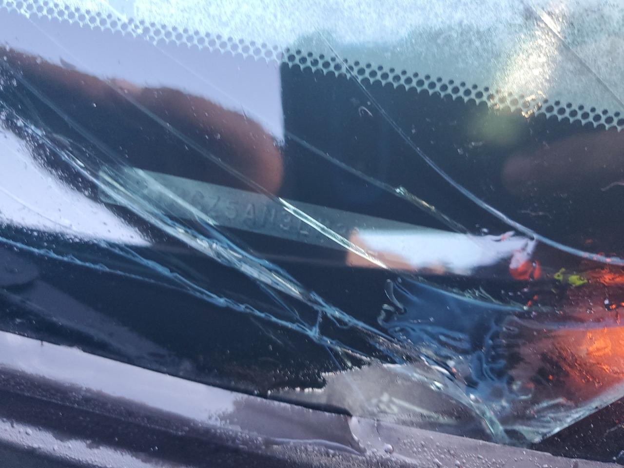 2020 Toyota Tacoma Double Cab VIN: 3TMCZ5AN3LM319694 Lot: 81231815