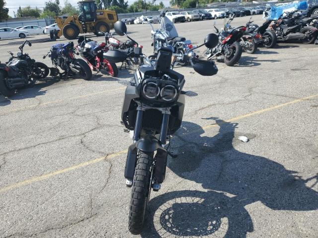 2023 DUCATI DESERT X   