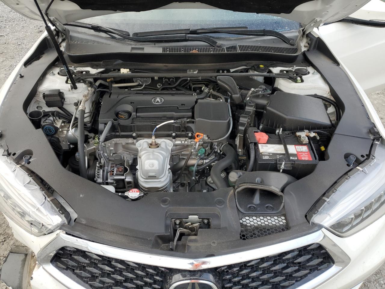 2020 Acura Tlx VIN: 19UUB1F30LA001426 Lot: 81726325