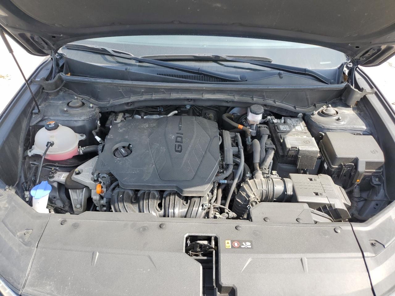 2023 Hyundai Tucson Sel VIN: 5NMJBCAE4PH209102 Lot: 81286485