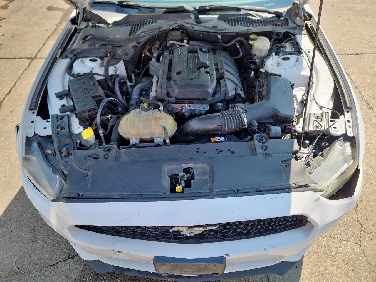 2015 Ford Mustang VIN: 1FA6P8TH2F5395757 Lot: 81156925