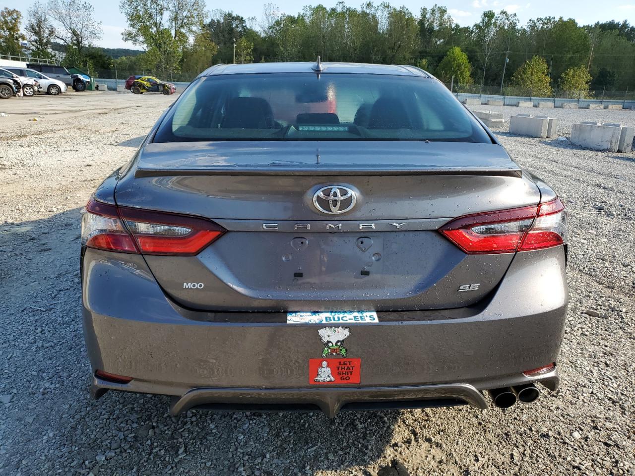 2023 Toyota Camry Se Night Shade VIN: 4T1S11AK3PU111166 Lot: 84736385